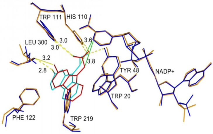 Figure 7