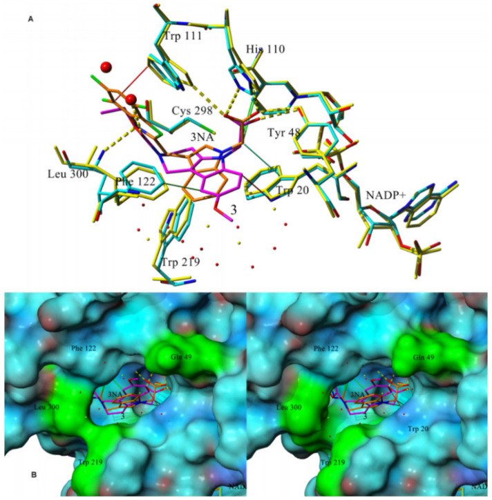 Figure 4