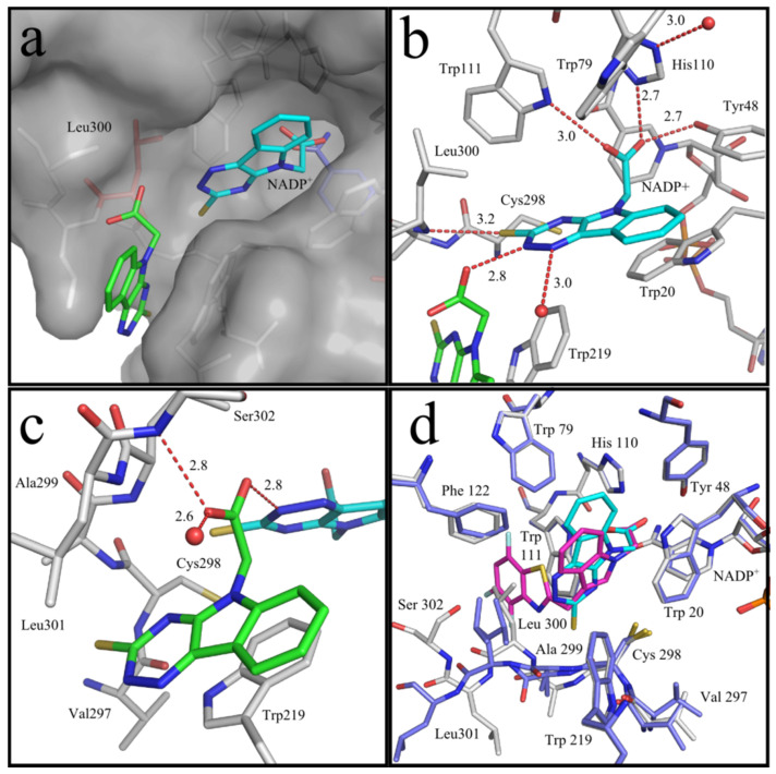 Figure 6