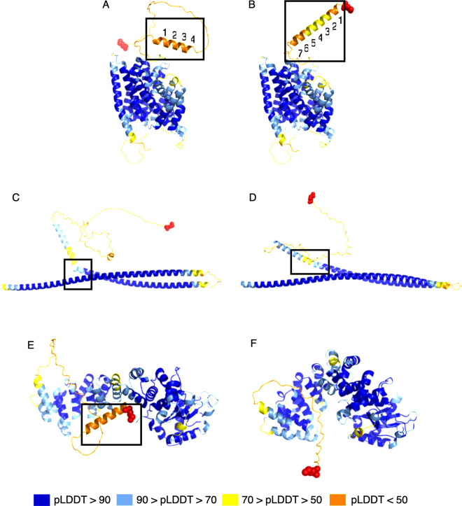 Fig 5