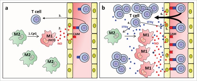 Figure 7.