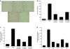 <b>Figure 4</b>