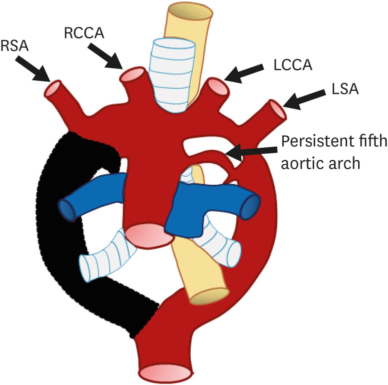 Figure 24