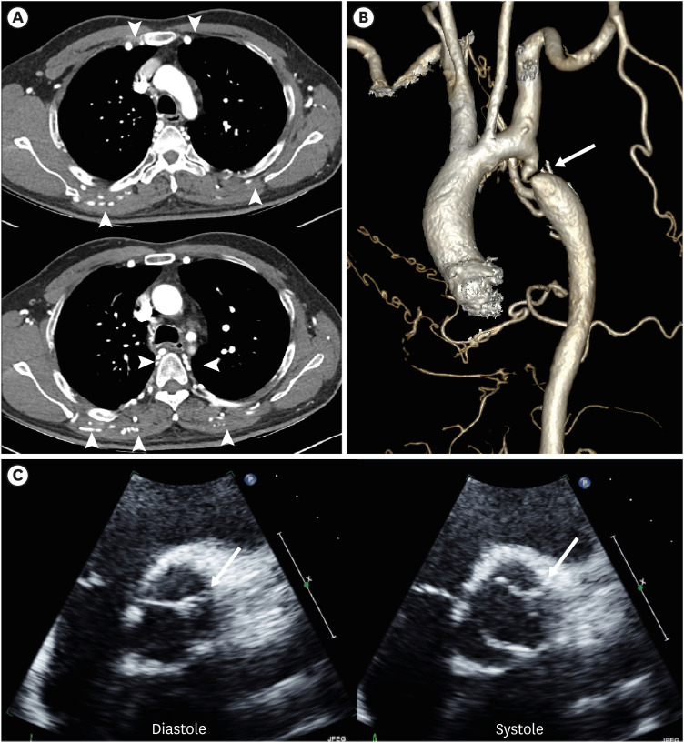 Figure 27