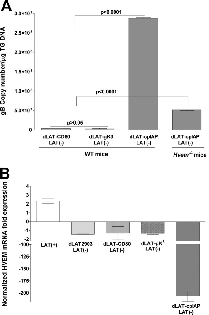 FIG 6