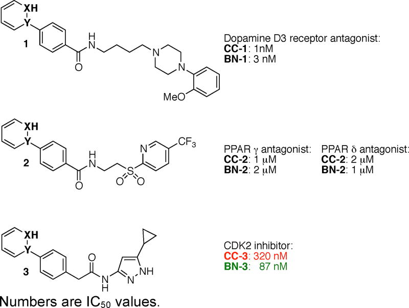 Scheme 2