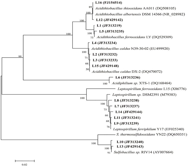 FIGURE 3