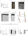 Figure 5