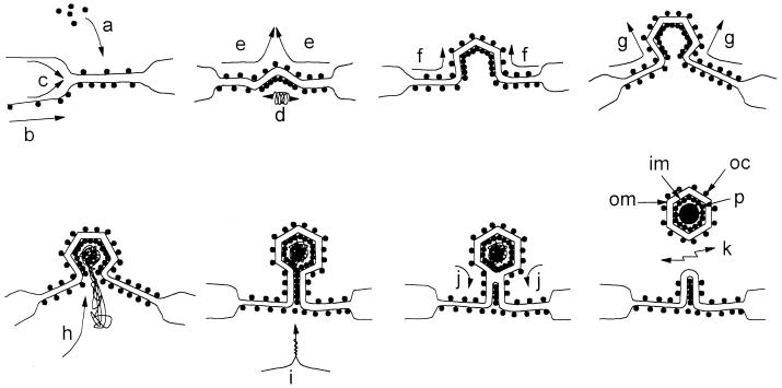 FIG. 11