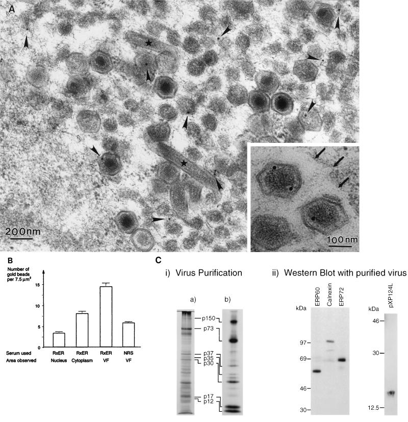 FIG. 7