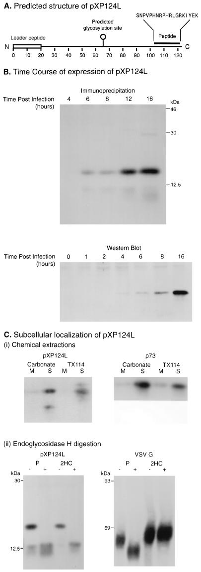 FIG. 9