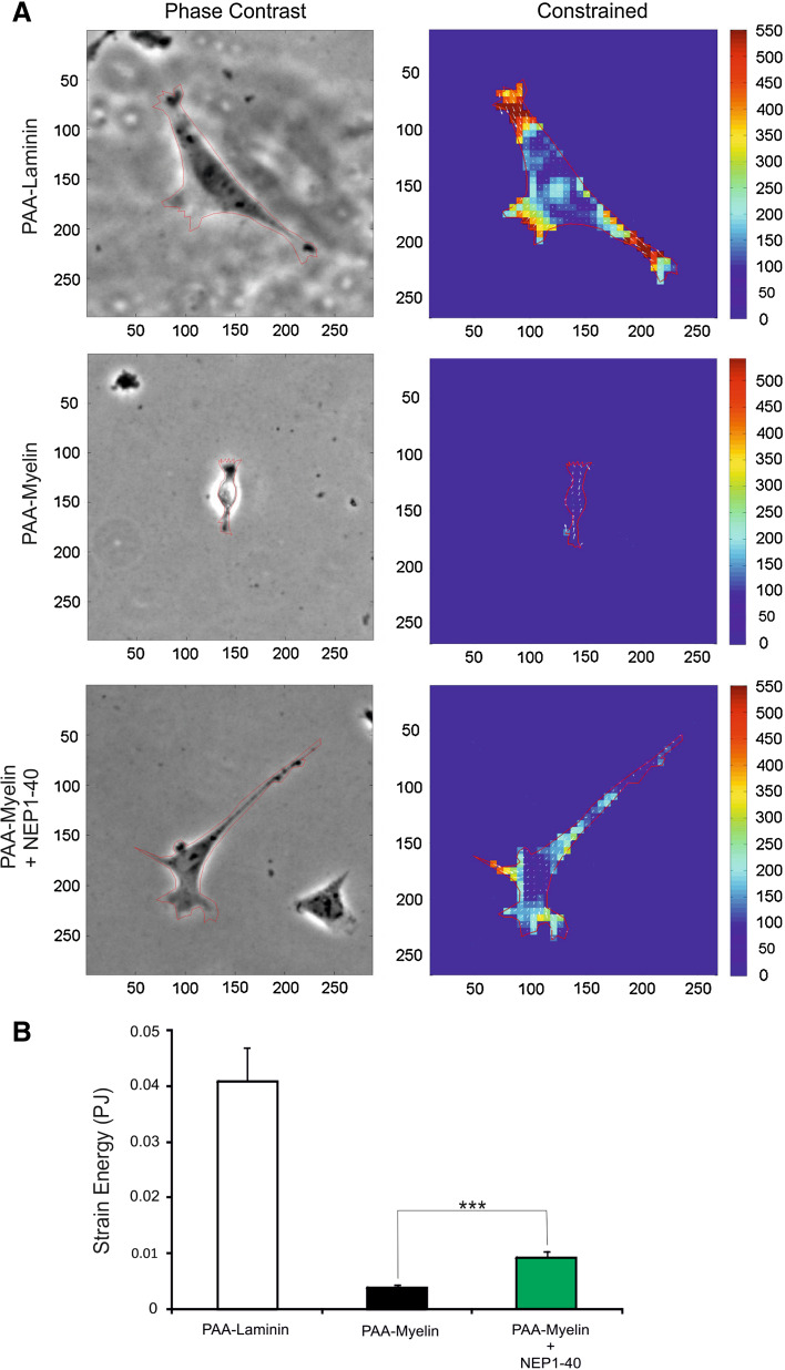 Fig. 4