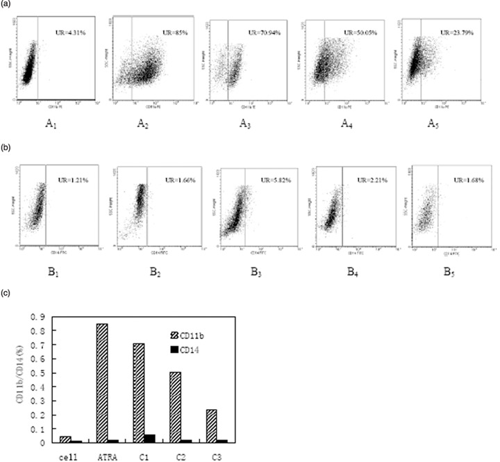 Figure 5