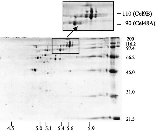 FIG. 7.