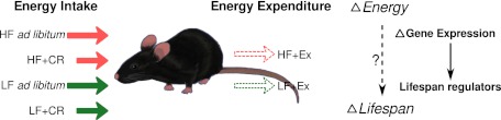 Fig. P1.