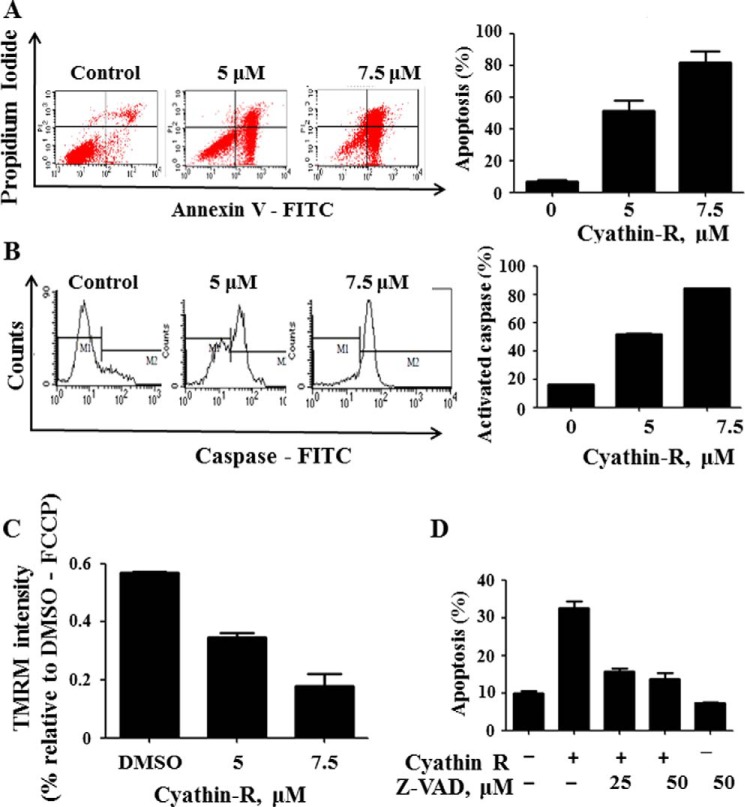 FIGURE 3.