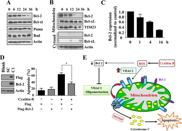 FIGURE 10.