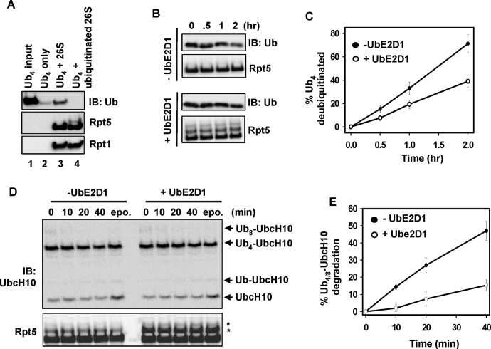 FIGURE 4: