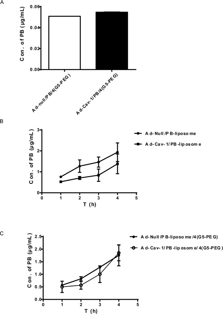 FIG. 6