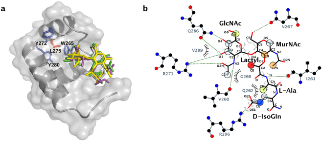 Figure 7