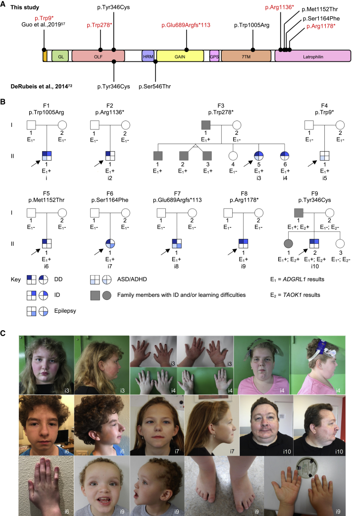 Figure 1