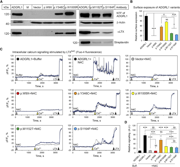 Figure 2