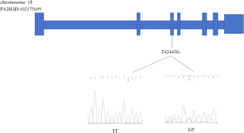 Fig. 2