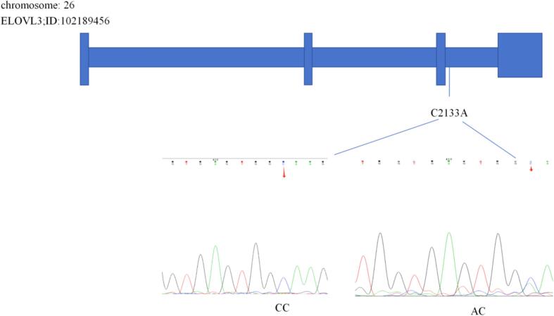 Fig. 3