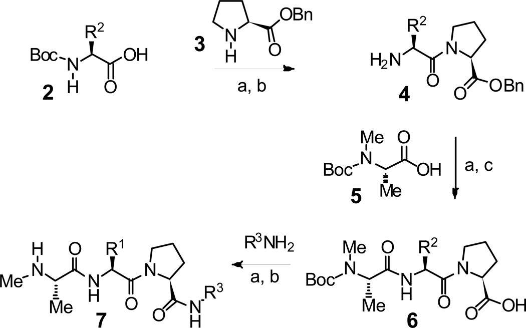 Scheme 1