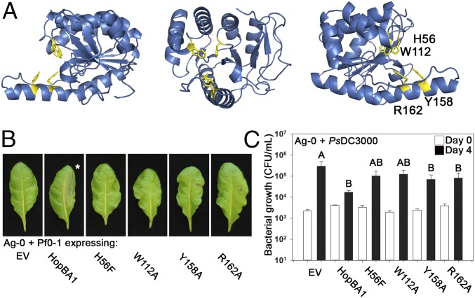 Fig. 4.