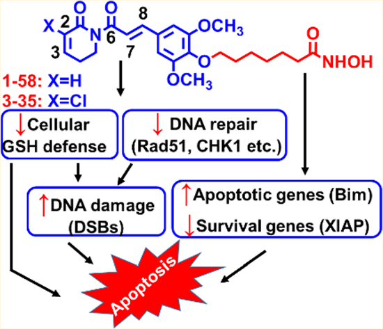 graphic file with name nihms-1058923-f0001.jpg