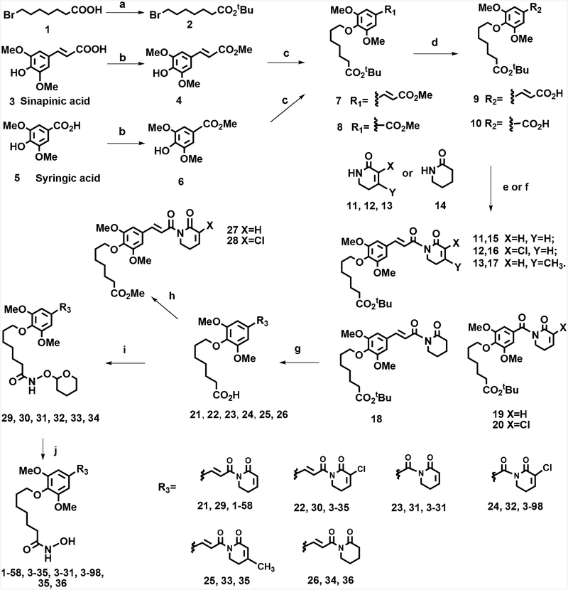 Scheme 2.