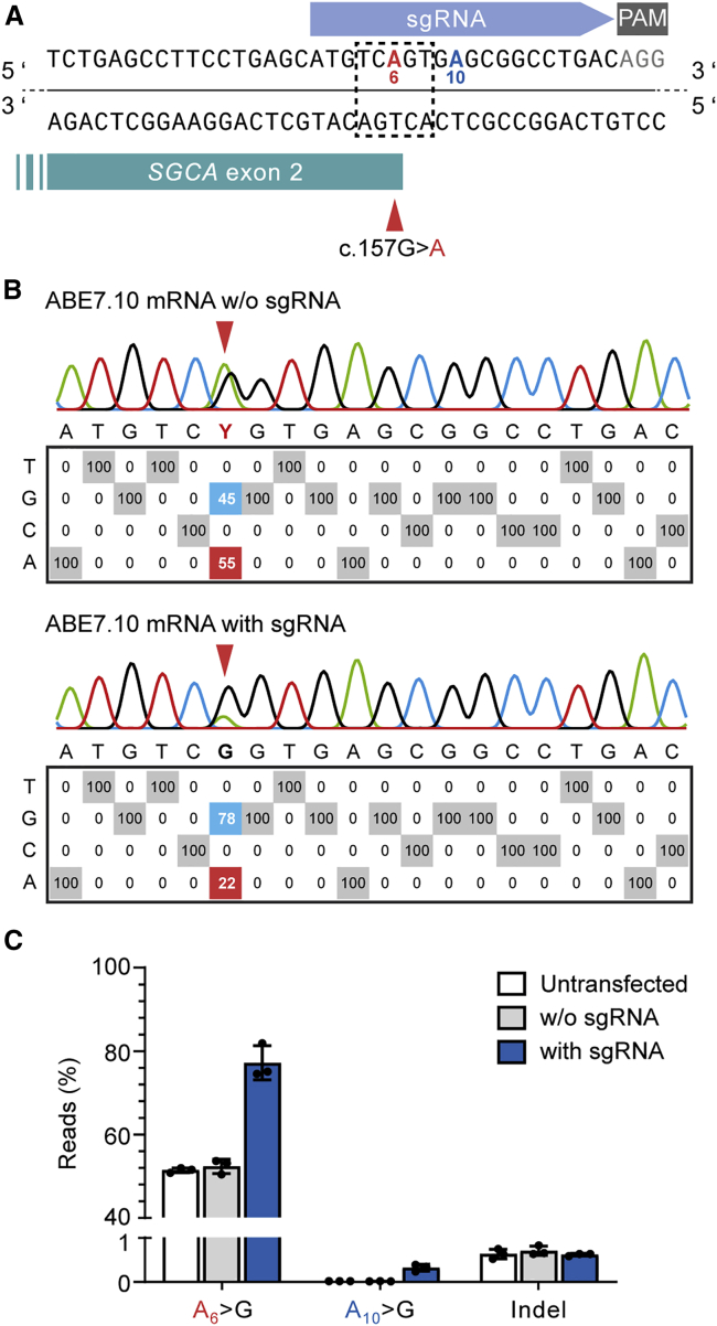 Figure 5