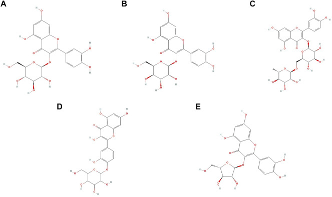 FIGURE 2