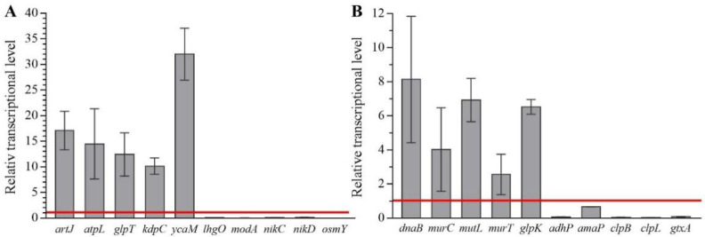 Figure 5