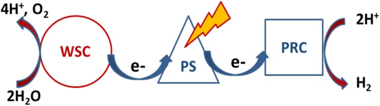 Fig. 3