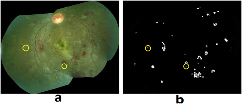 Figure 13