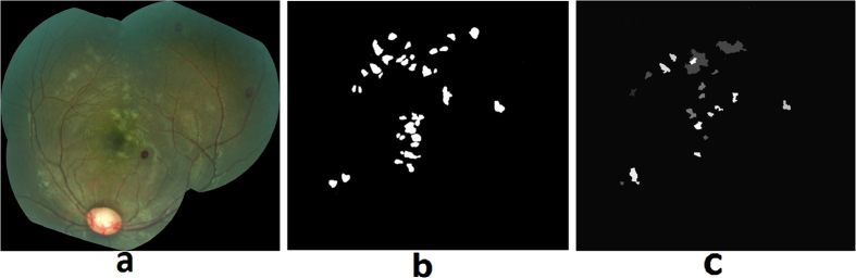 Figure 11