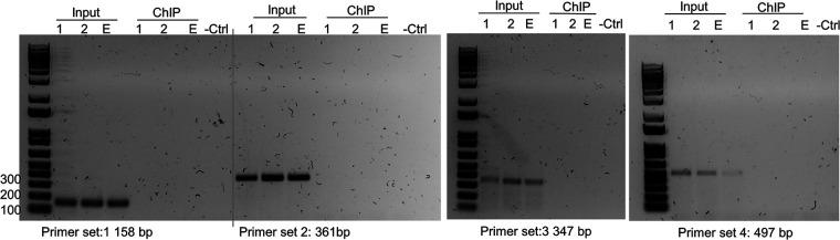 FIG 1