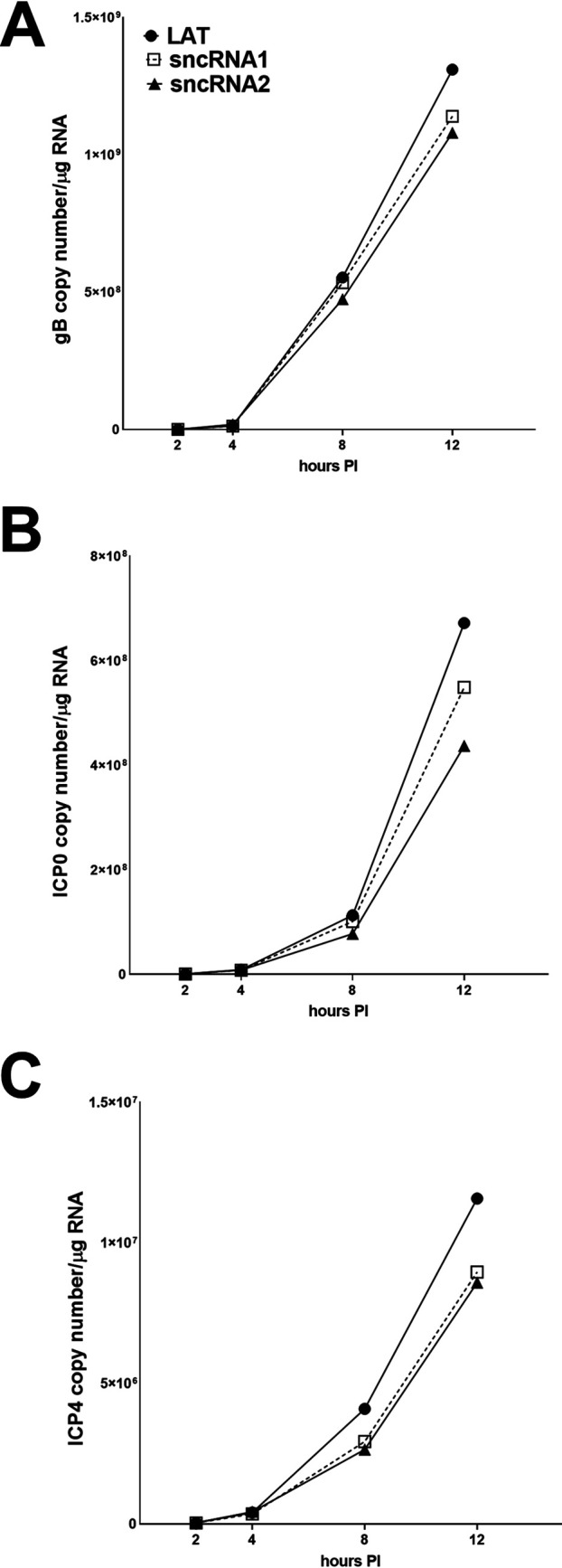 FIG 3