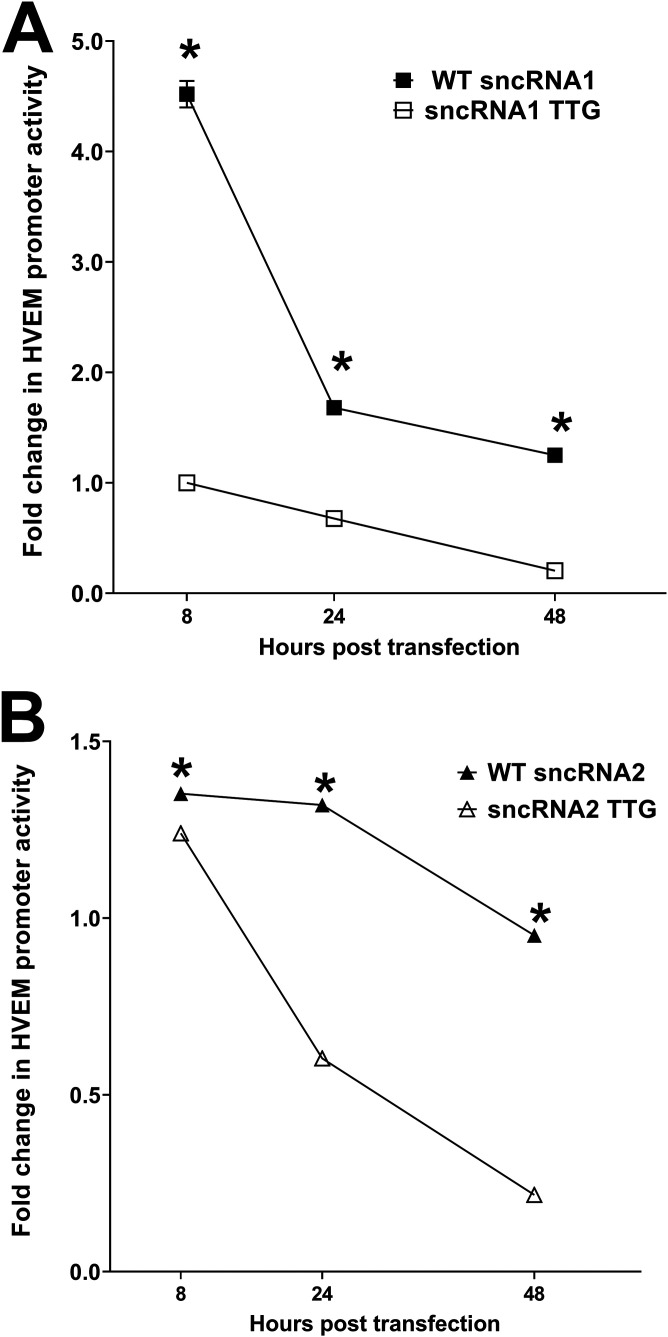 FIG 6