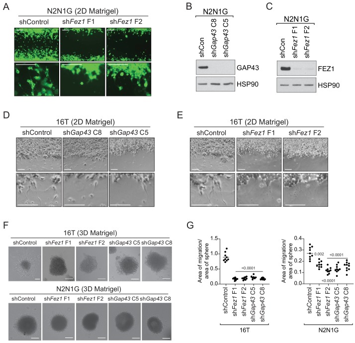 Figure 3—figure supplement 3.