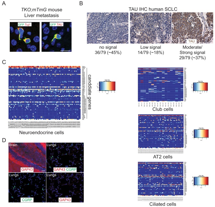 Figure 2—figure supplement 2.