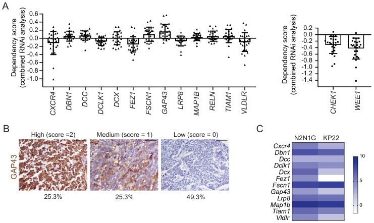 Figure 3—figure supplement 2.