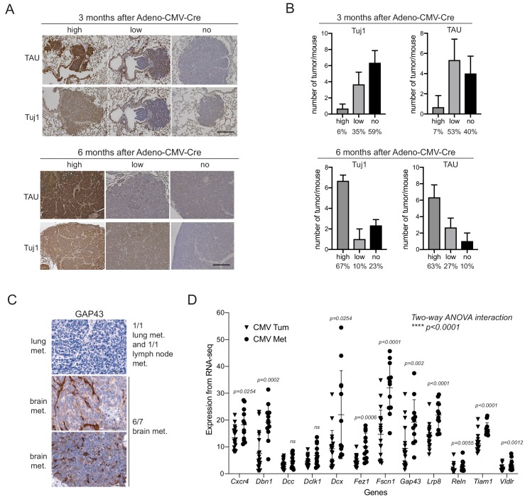 Figure 4—figure supplement 1.