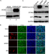 FIG 6