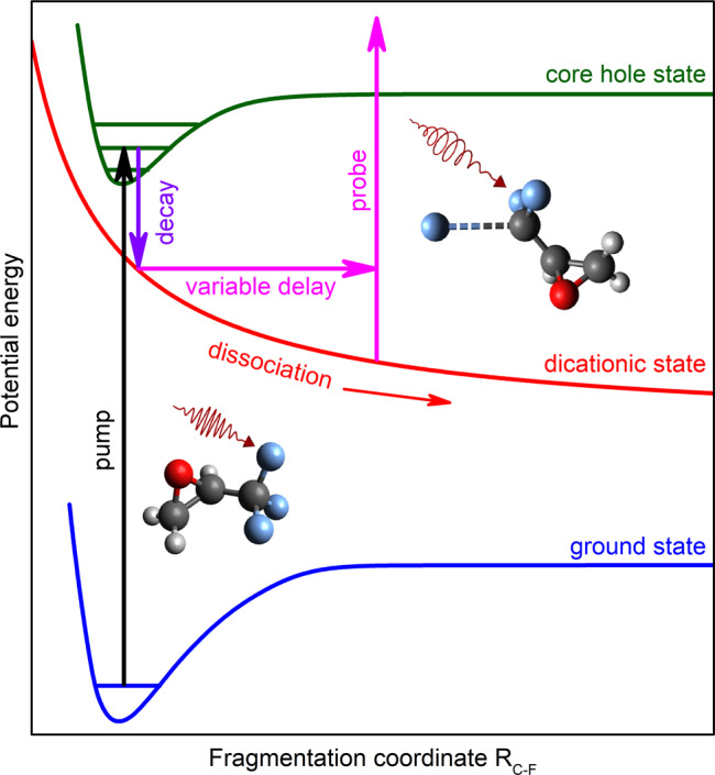 Fig. 1