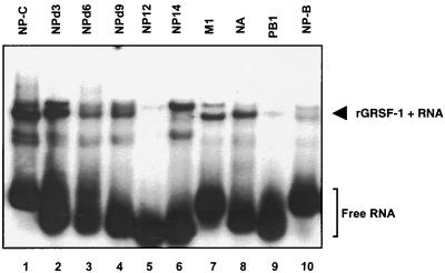 FIG. 5.