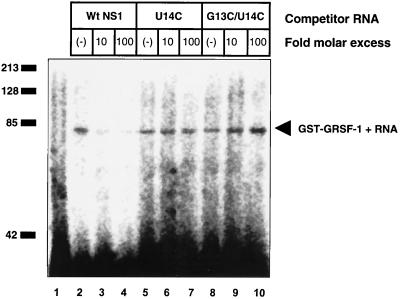 FIG. 6.