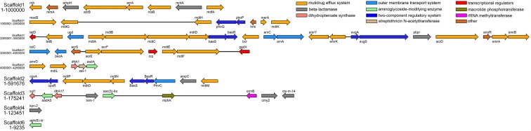 Fig. 3